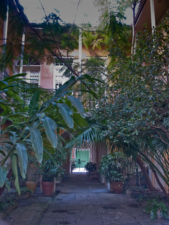 Green Door Courtyard 2011